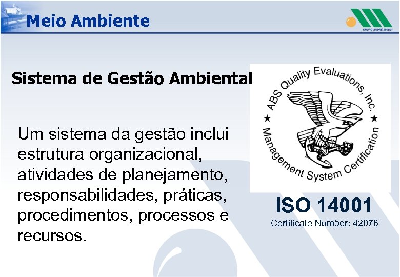 Meio Ambiente Sistema de Gestão Ambiental Um sistema da gestão inclui estrutura organizacional, atividades