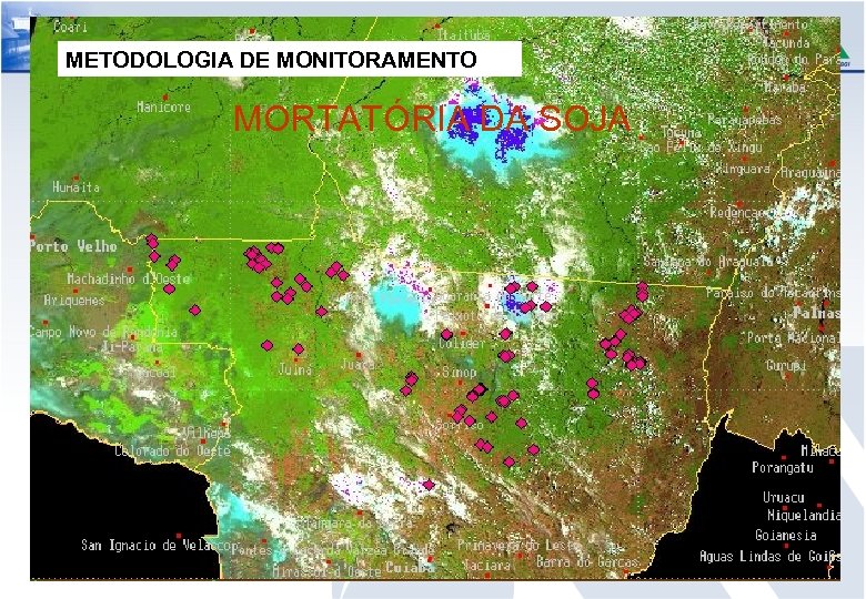 METODOLOGIA DE MONITORAMENTO MORTATÓRIA DA SOJA 