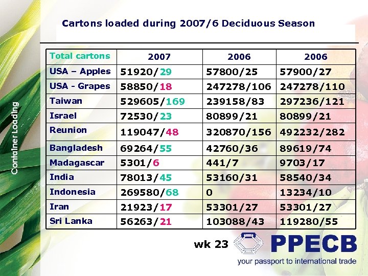 Cartons loaded during 2007/6 Deciduous Season 2007 USA – Apples 51920/29 57800/25 USA -