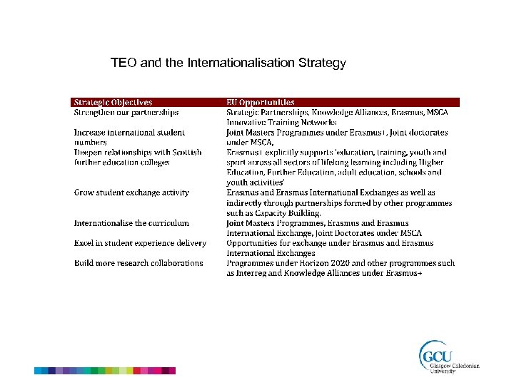TEO and the Internationalisation Strategy 