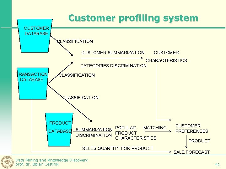 Customer profiling system CUSTOMER DATABASE CLASSIFICATION CUSTOMER SUMMARIZATION CUSTOMER CHARACTERISTICS CATEGORIES DISCRIMINATION TRANSACTION DATABASE