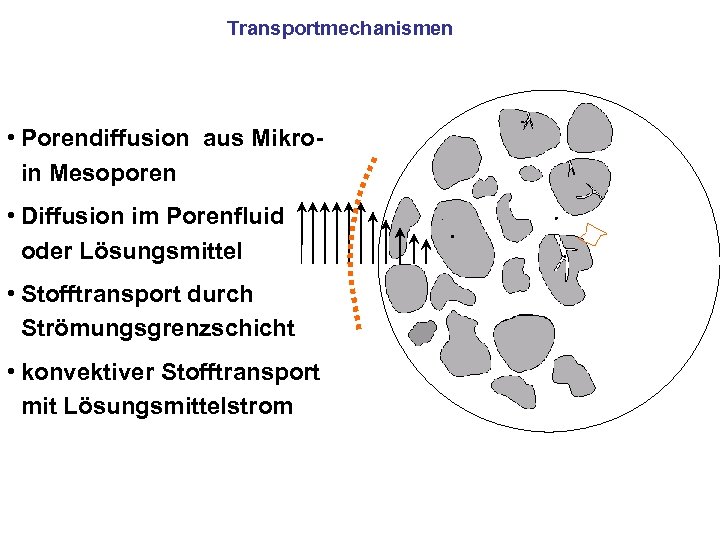 Transportmechanismen • Porendiffusion aus Mikro- in Mesoporen • Diffusion im Porenfluid oder Lösungsmittel •