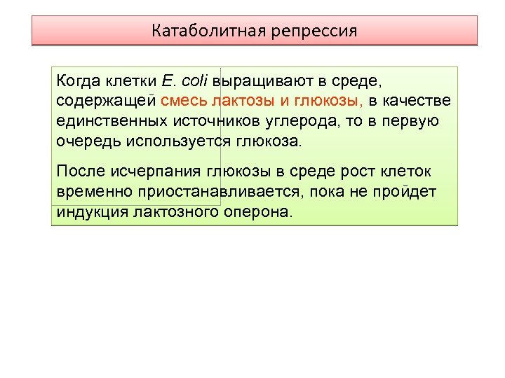 Катаболитная репрессия Когда клетки Е. coli выращивают в среде, содержащей смесь лактозы и глюкозы,