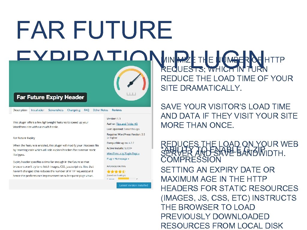 FAR FUTURE EXPIRATION PLUGIN MINIMIZE THE NUMBER OF HTTP REQUESTS; WHICH IN TURN REDUCE