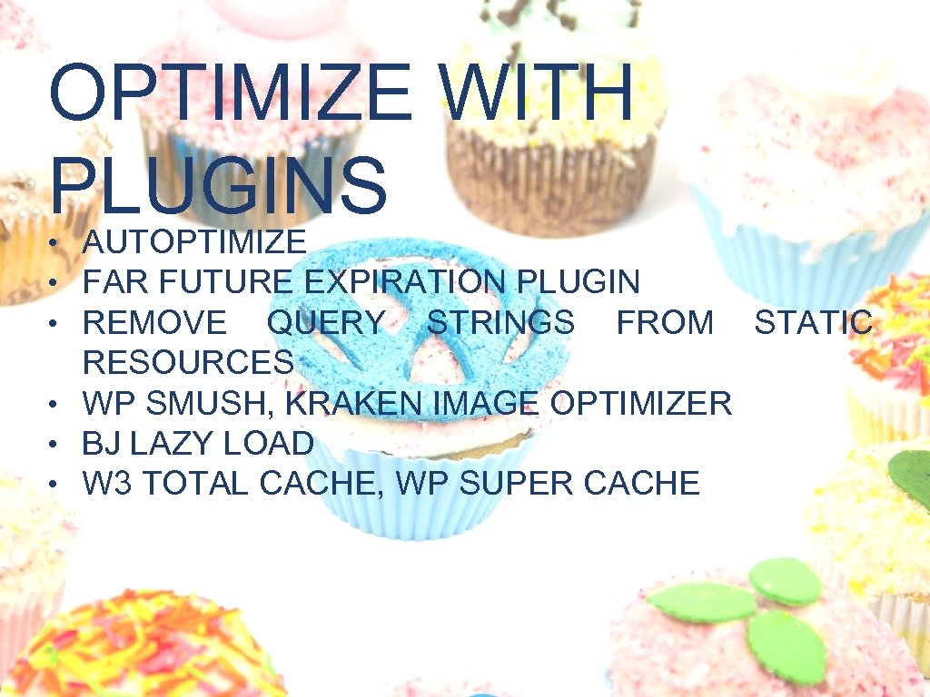 OPTIMIZE WITH PLUGINS • AUTOPTIMIZE • FAR FUTURE EXPIRATION PLUGIN • REMOVE QUERY STRINGS