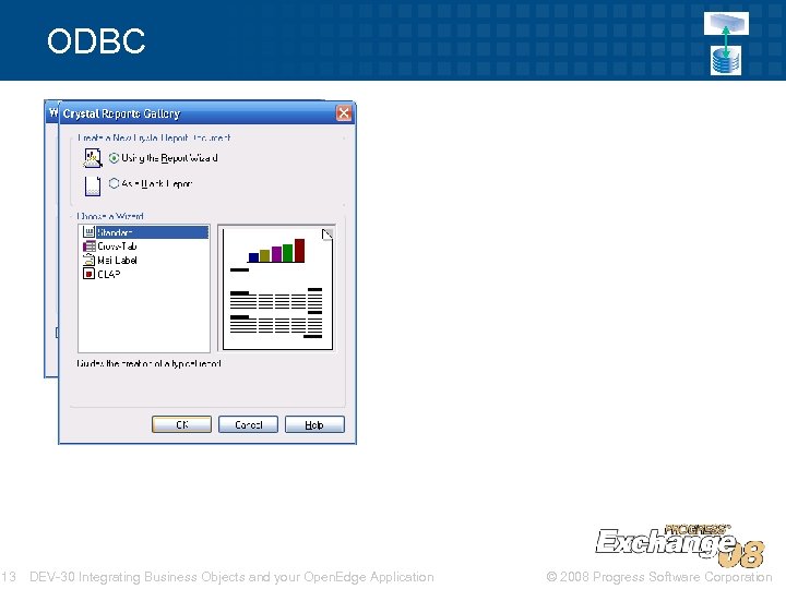 ODBC 13 DEV-30 Integrating Business Objects and your Open. Edge Application © 2008 Progress