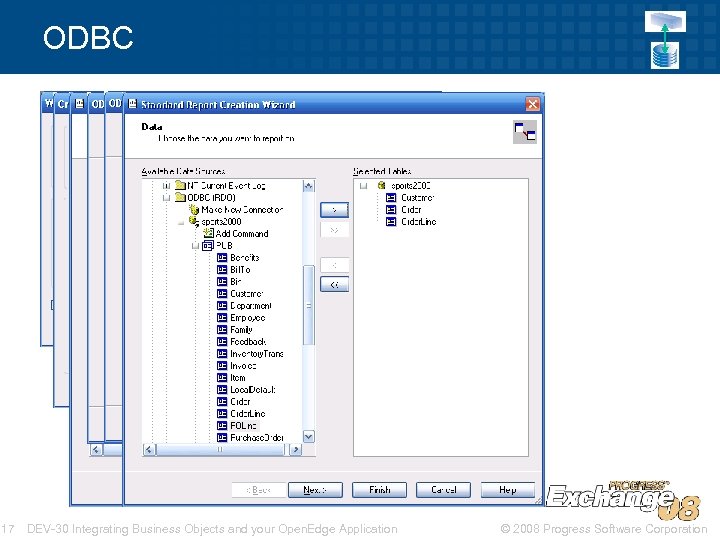 ODBC 17 DEV-30 Integrating Business Objects and your Open. Edge Application © 2008 Progress