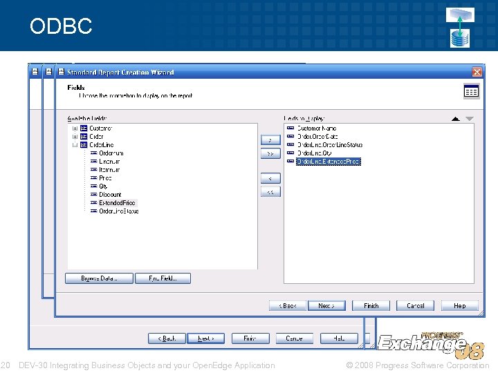 ODBC 20 DEV-30 Integrating Business Objects and your Open. Edge Application © 2008 Progress