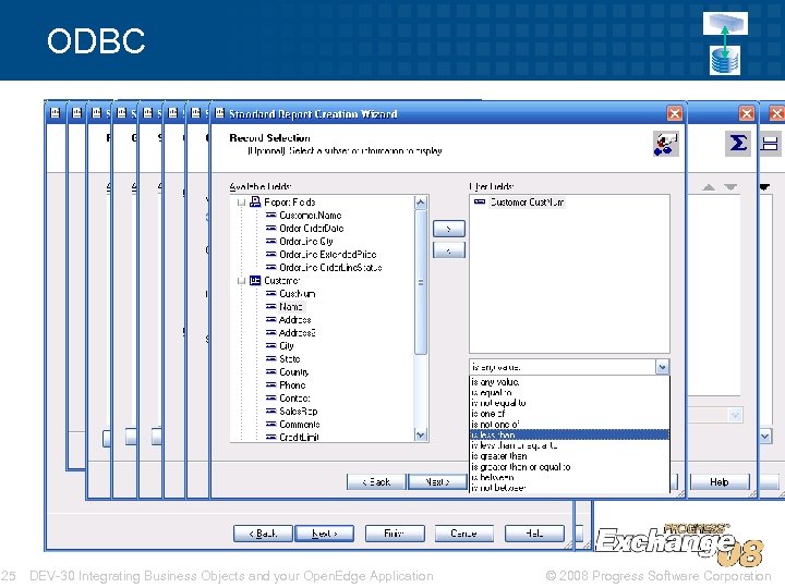 ODBC 25 DEV-30 Integrating Business Objects and your Open. Edge Application © 2008 Progress