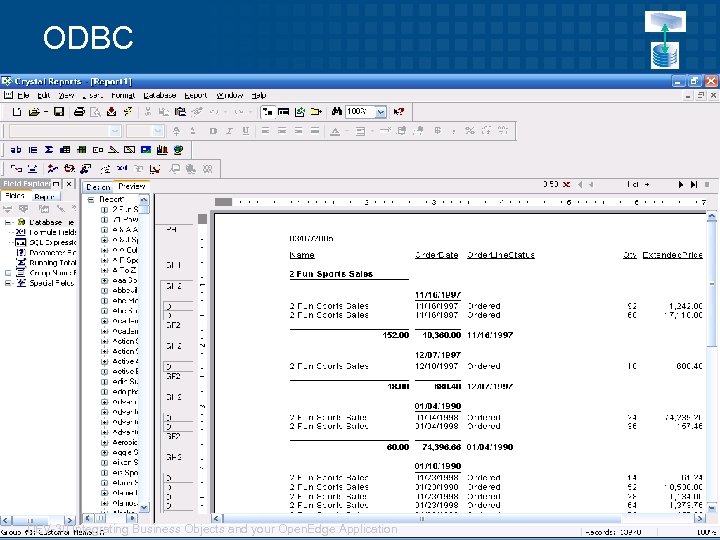 ODBC 27 DEV-30 Integrating Business Objects and your Open. Edge Application © 2008 Progress