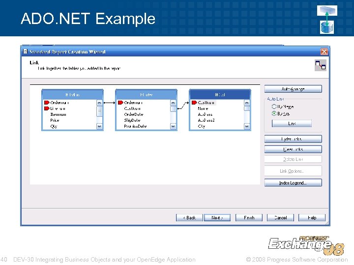 ADO. NET Example 40 DEV-30 Integrating Business Objects and your Open. Edge Application ©