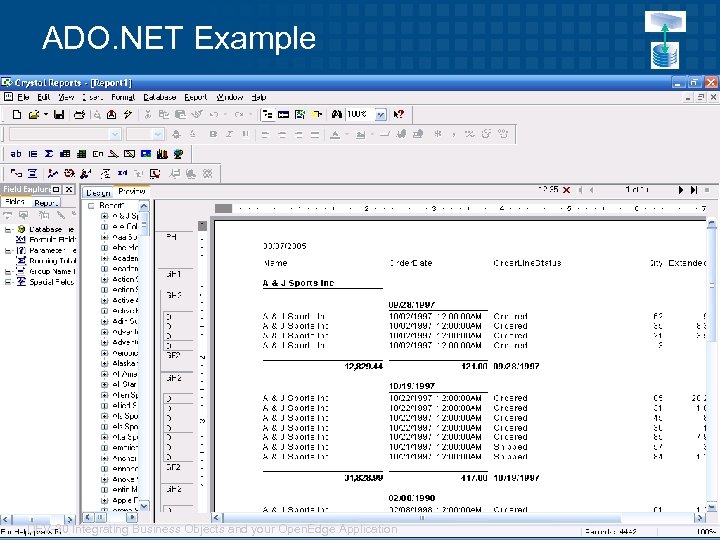 ADO. NET Example 41 DEV-30 Integrating Business Objects and your Open. Edge Application ©