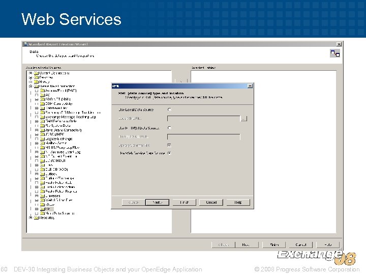 Web Services 60 DEV-30 Integrating Business Objects and your Open. Edge Application © 2008