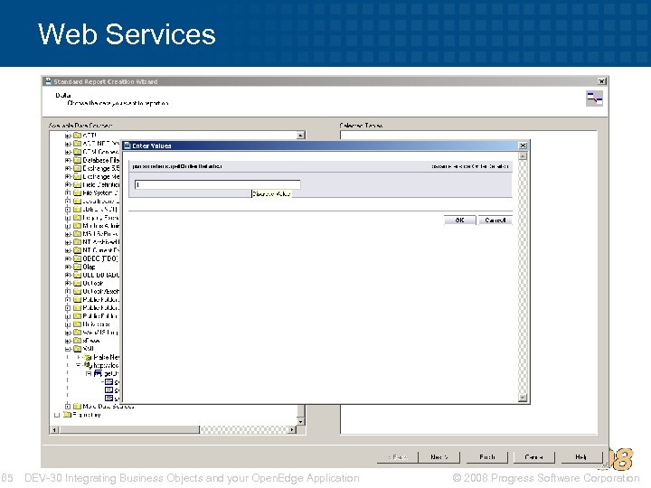 Web Services 65 DEV-30 Integrating Business Objects and your Open. Edge Application © 2008