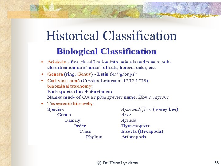 Historical Classification @ Dr. Heinz Lycklama 33 