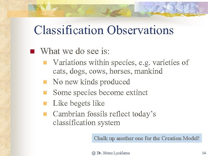 Classification Observations n What we do see is: n n n Variations within species,