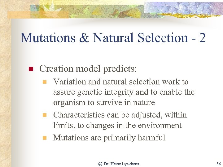 Mutations & Natural Selection - 2 n Creation model predicts: n n n Variation