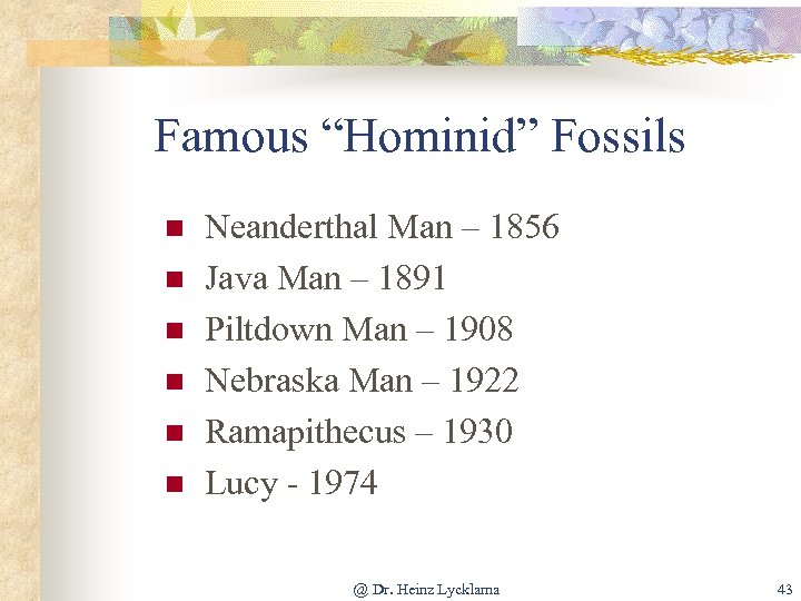 Famous “Hominid” Fossils n n n Neanderthal Man – 1856 Java Man – 1891