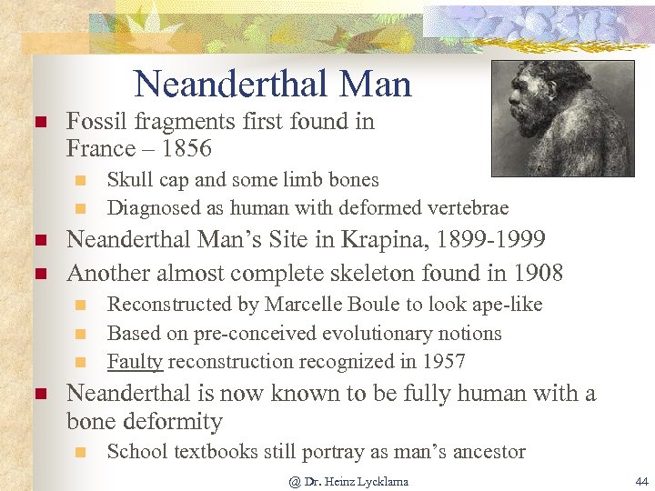 Neanderthal Man n Fossil fragments first found in France – 1856 n n Neanderthal