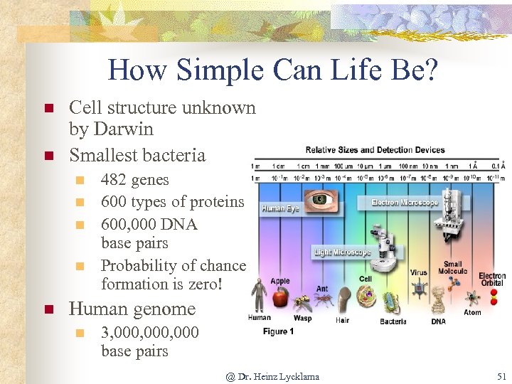 How Simple Can Life Be? n n Cell structure unknown by Darwin Smallest bacteria