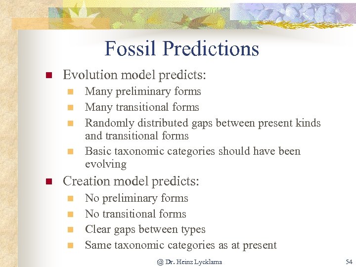 Fossil Predictions n Evolution model predicts: n n n Many preliminary forms Many transitional