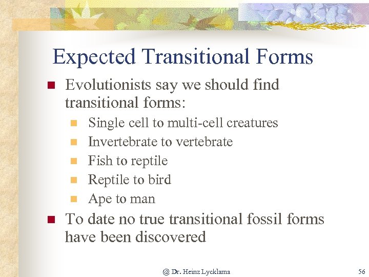 Expected Transitional Forms n Evolutionists say we should find transitional forms: n n n