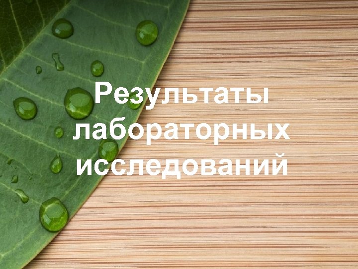 Результаты лабораторных исследований 