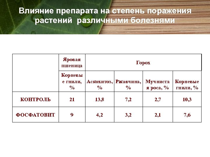 Влияние препарата на степень поражения растений различными болезнями Яровая пшеница Горох Корневы е гнили,