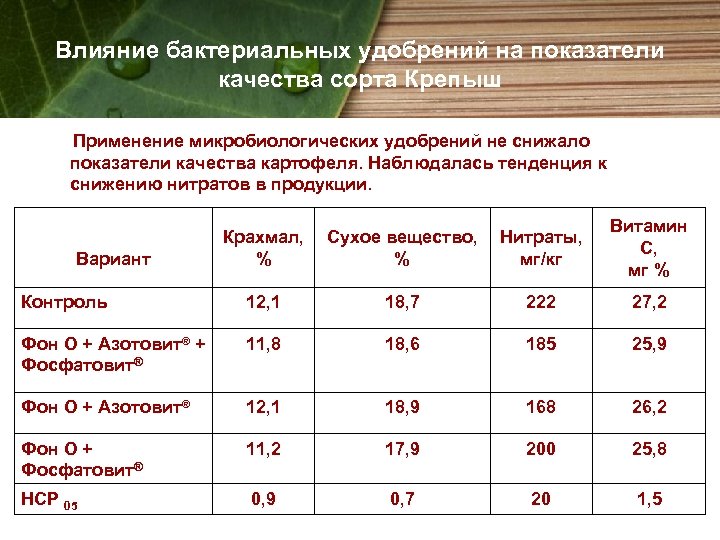 Влияние бактериальных удобрений на показатели качества сорта Крепыш Применение микробиологических удобрений не снижало показатели