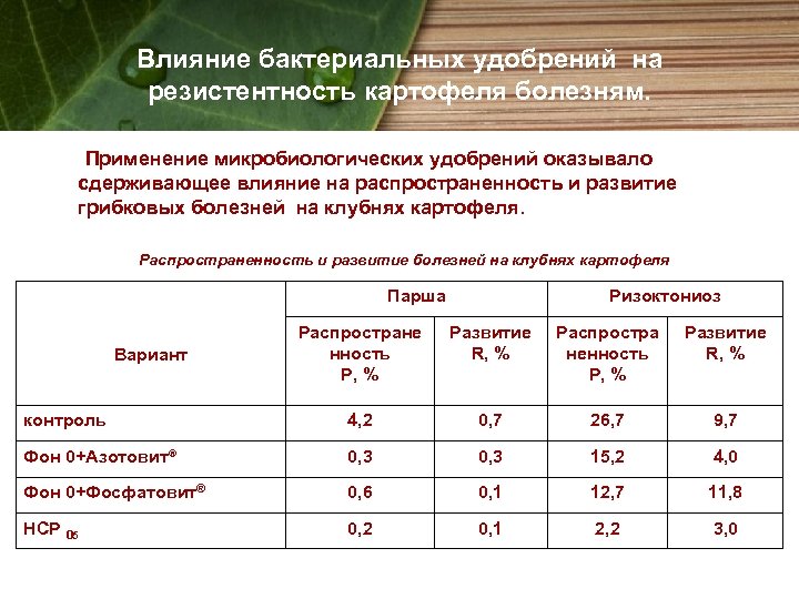 Влияние бактериальных удобрений на резистентность картофеля болезням. Применение микробиологических удобрений оказывало сдерживающее влияние на