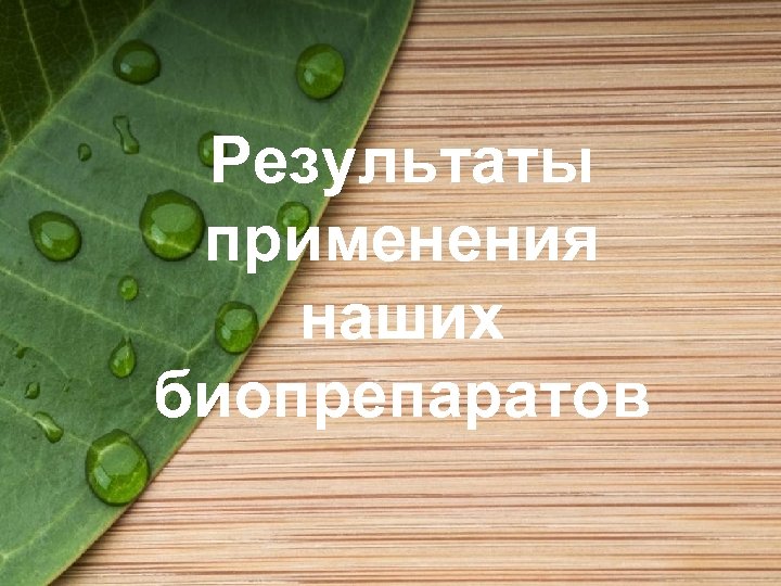 Результаты применения наших биопрепаратов 