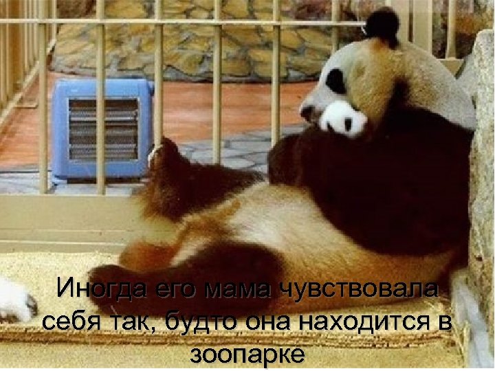 Иногда его мама чувствовала себя так, будто она находится в зоопарке 