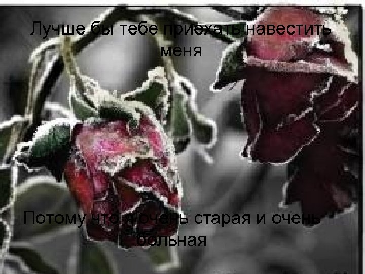 Лучше бы тебе приехать навестить меня Потому что я очень старая и очень больная