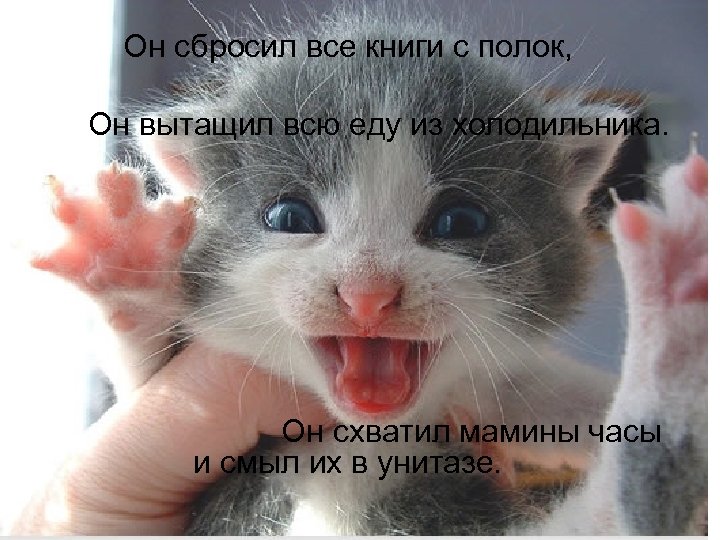 Он сбросил все книги с полок, Он вытащил всю еду из холодильника. Он схватил