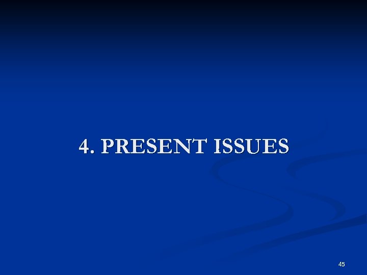 4. PRESENT ISSUES 45 