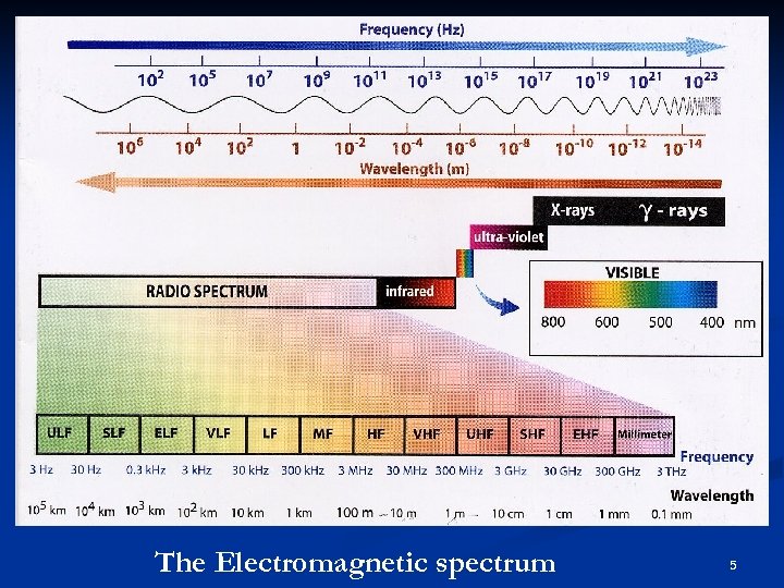 The Electromagnetic spectrum 5 