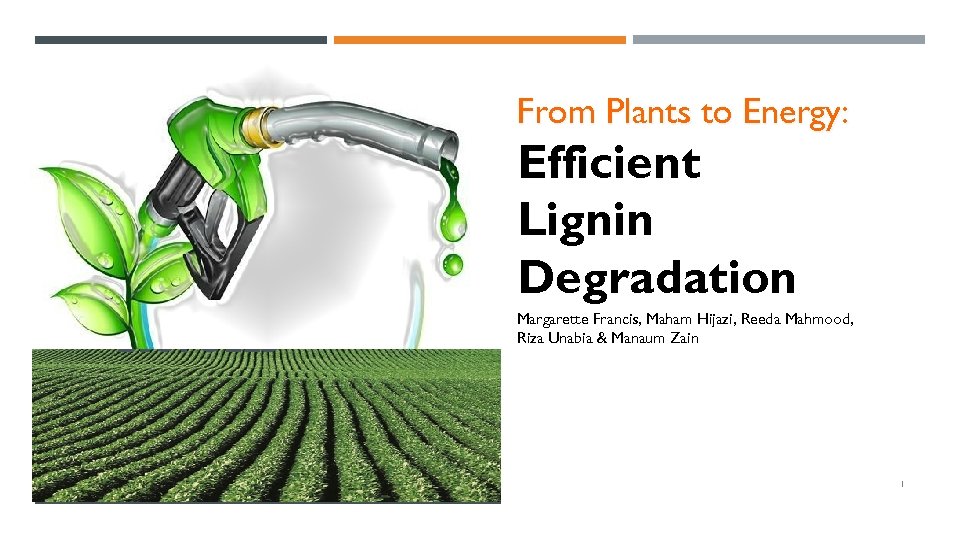 From Plants to Energy: Efficient Lignin Degradation BIOFUELS Margarette Francis, Maham Hijazi, Reeda Mahmood,