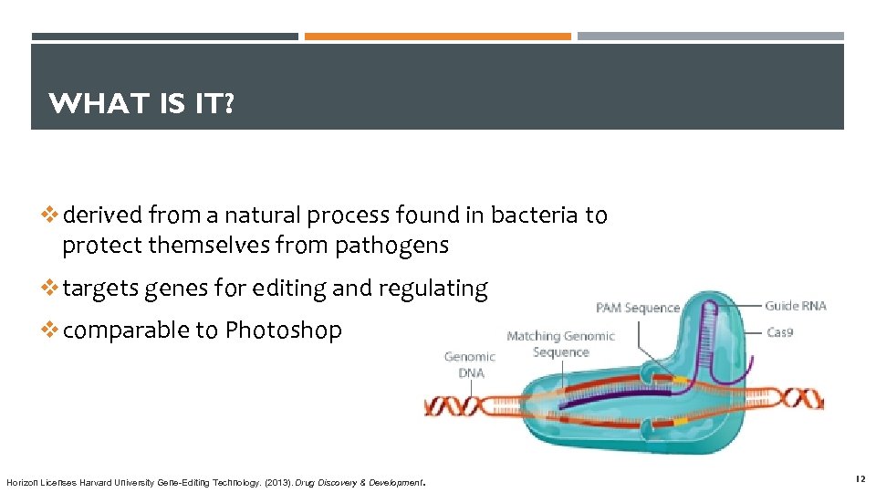 WHAT IS IT? vderived from a natural process found in bacteria to protect themselves