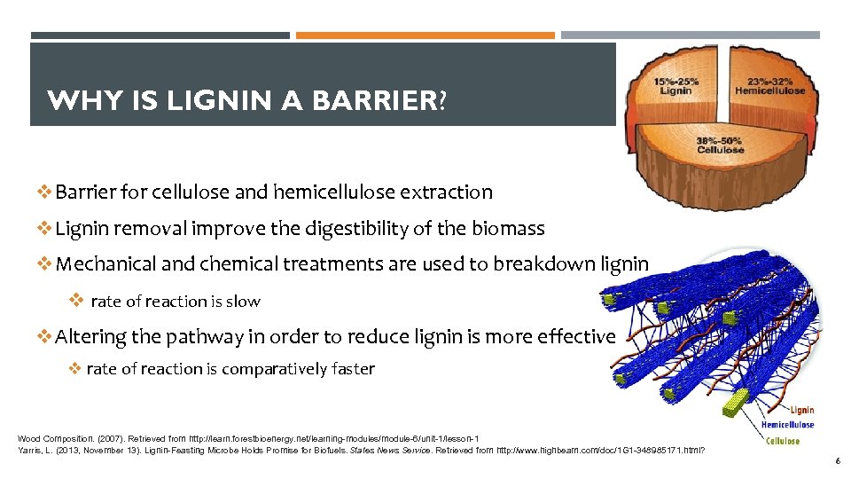 WHY IS LIGNIN A BARRIER? v Barrier for cellulose and hemicellulose extraction v Lignin