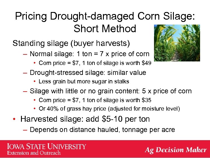 Pricing Drought-damaged Corn Silage: Short Method Standing silage (buyer harvests) – Normal silage: 1