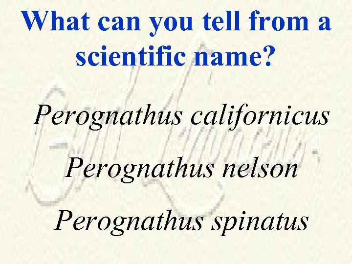 What can you tell from a scientific name? Perognathus californicus Perognathus nelson Perognathus spinatus