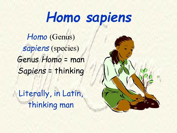 Homo sapiens Homo (Genus) sapiens (species) Genus Homo = man Sapiens = thinking Literally,