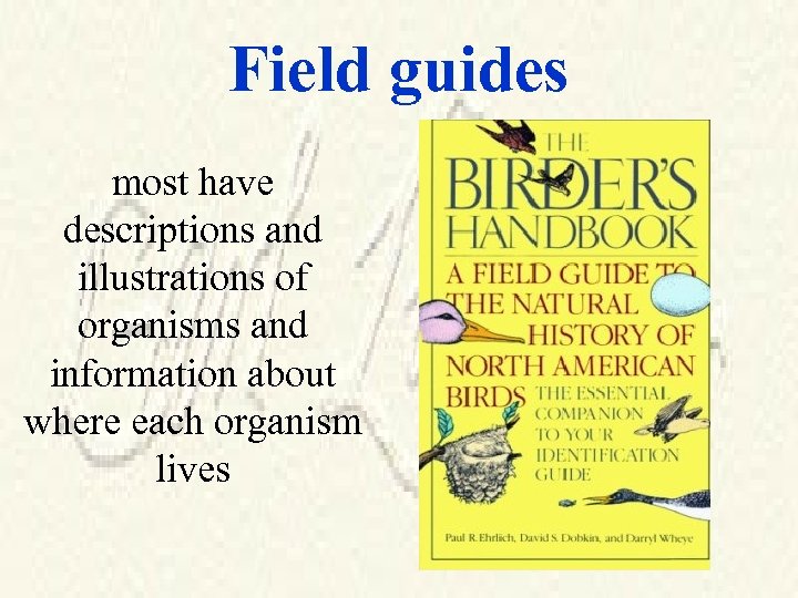 Field guides most have descriptions and illustrations of organisms and information about where each