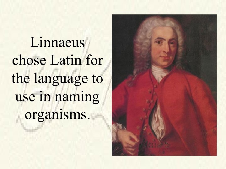 Linnaeus chose Latin for the language to use in naming organisms. 