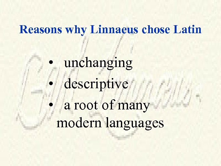 Reasons why Linnaeus chose Latin • unchanging • descriptive • a root of many
