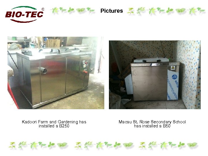 Pictures Kadoori Farm and Gardening has installed a B 250 Macau St. Rose Secondary