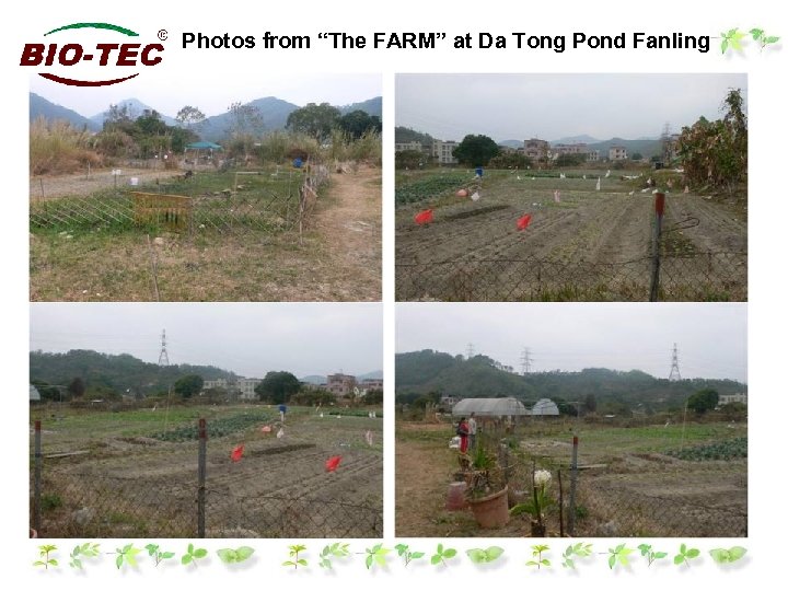 Photos from “The FARM” at Da Tong Pond Fanling 
