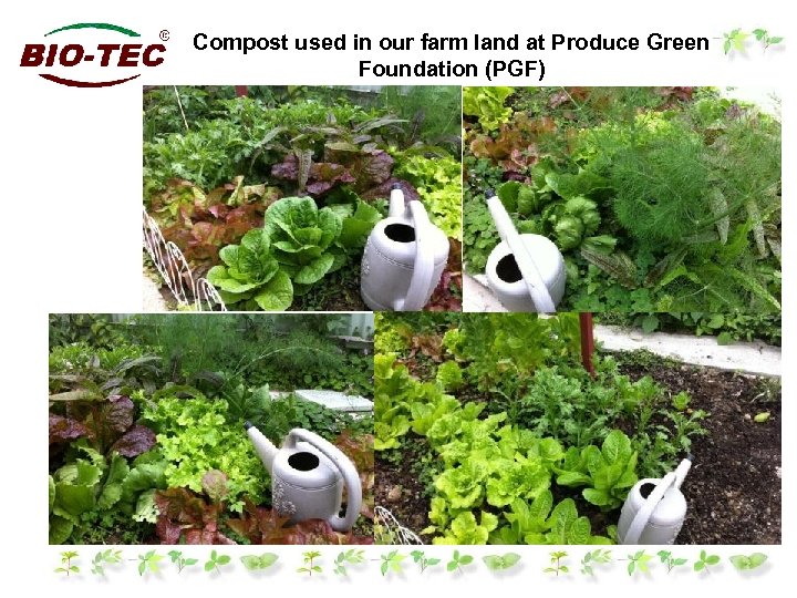 Compost used in our farm land at Produce Green Foundation (PGF) 