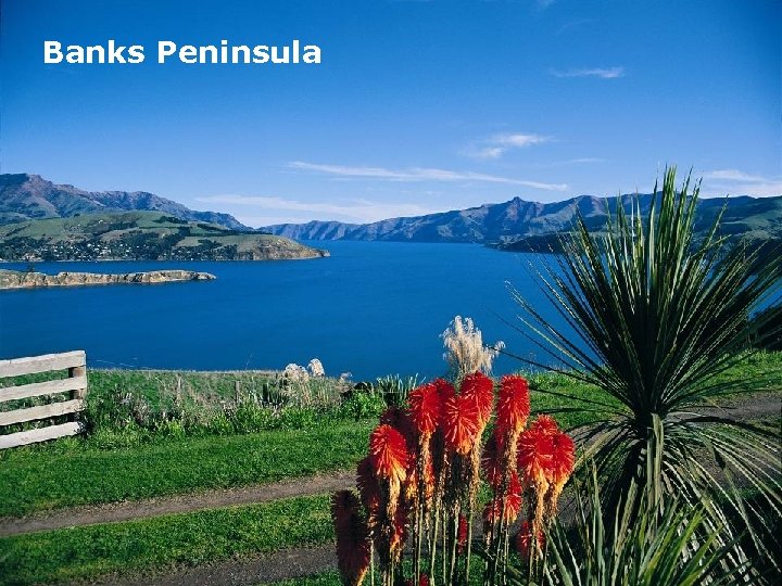 Banks Peninsula 