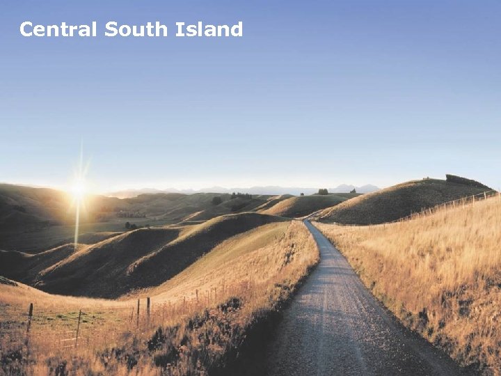 Central South Island 